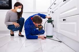 Best Pest Exclusion Services  in USA